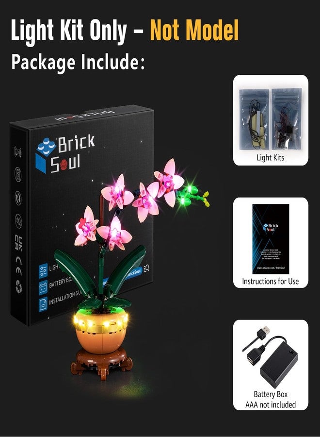 طقم إضاءة BrickSoul متوافق مع مجموعة بناء Lego Mini Orchid 10343، ملحقات إضاءة بتصميم مُحسّن لنباتات Lego، تقنية إخفاء الكابلات للعرض، غير مُضمنة في مجموعة البناء 10343 - Image 2